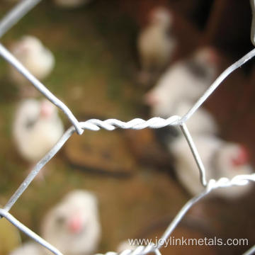 Galvanized Chicken Wire Hex Poultry Netting Roll Fencing